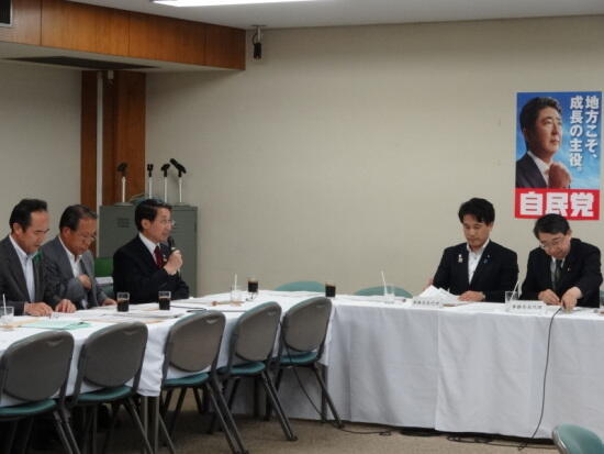 画像：意見を述べる平井地方税財政常任委員会副委員長（鳥取県知事）